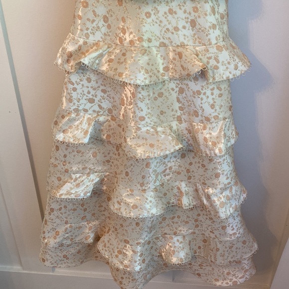 NWTS   V.Chapman dress size 00 Duchess in Dusty Cream - Picture 4 of 9